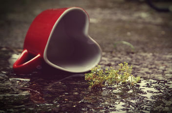 Love - Kostenloses image #308985